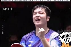 开云体育中国-包含瑞典乒乓球队翻盘德国乒乓球队，樊振东制霸全场的词条