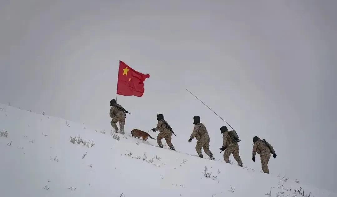 西藏雪域队在比赛中勇往直前，闯出一片天地的简单介绍