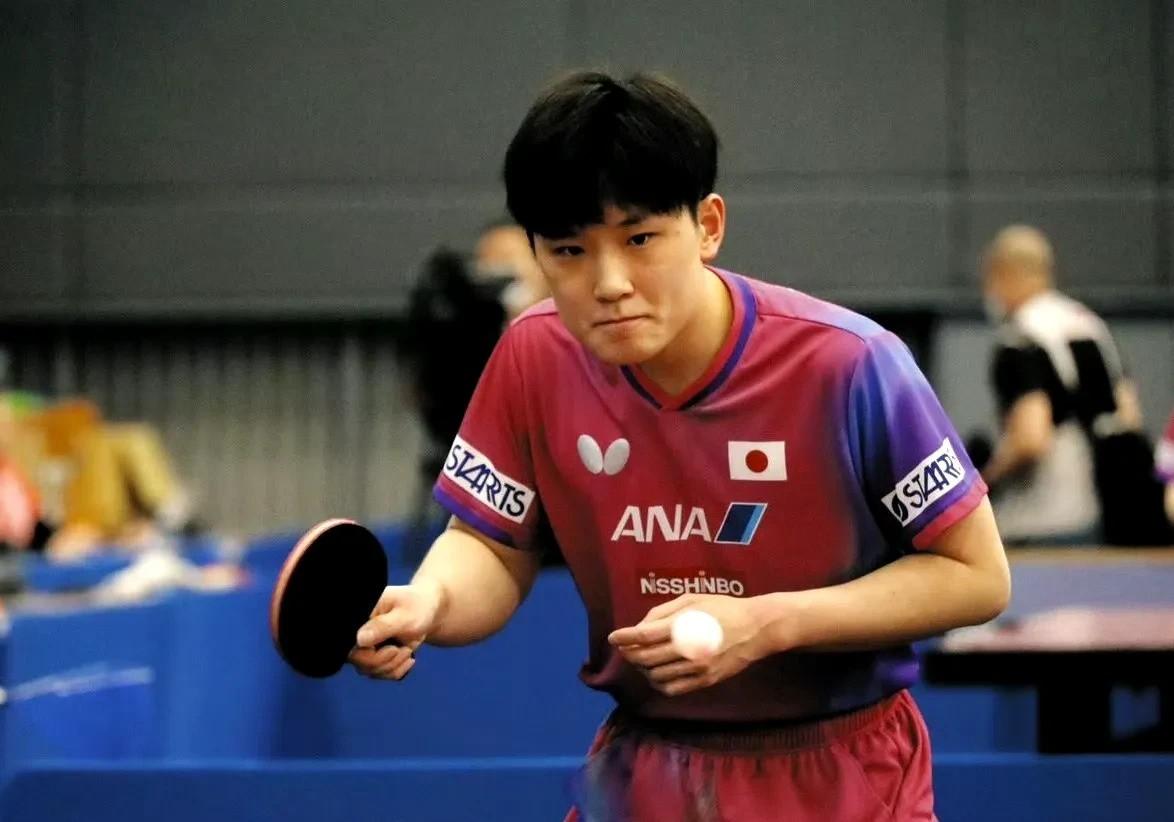 波兰乒乓球队血洗瑞典乒乓球队，张本智和打破历史纪录的简单介绍