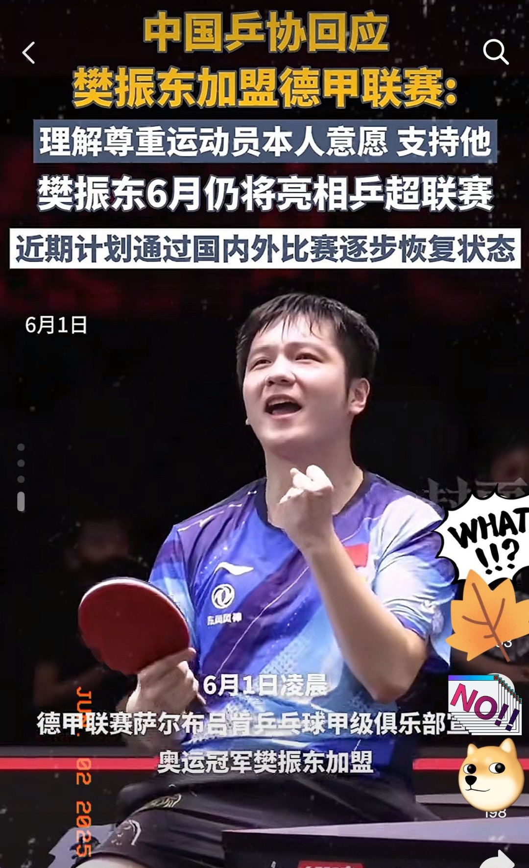 包含瑞典乒乓球队翻盘德国乒乓球队，樊振东制霸全场的词条